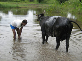 After Watershed Development Project