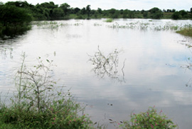 Village water tank